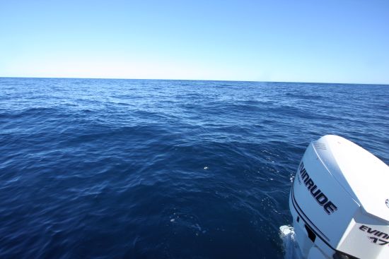 Boom or bust – Fishing World’s tuna expedition